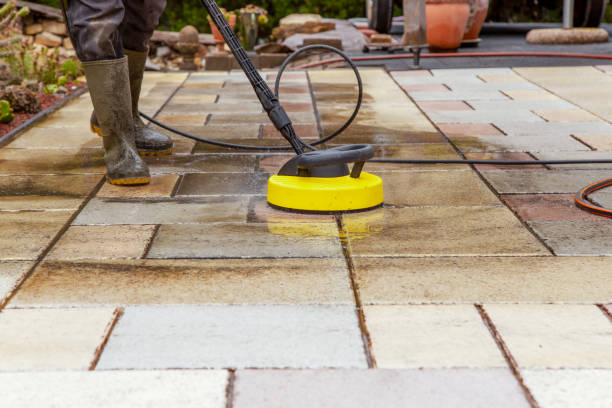 Animal Enclosure Cleaning in Hoback, WY